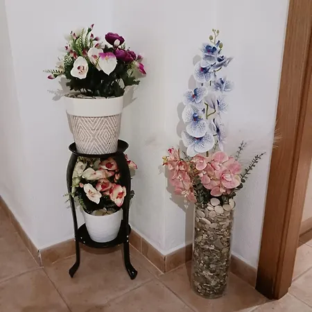 Formentera Apartamento